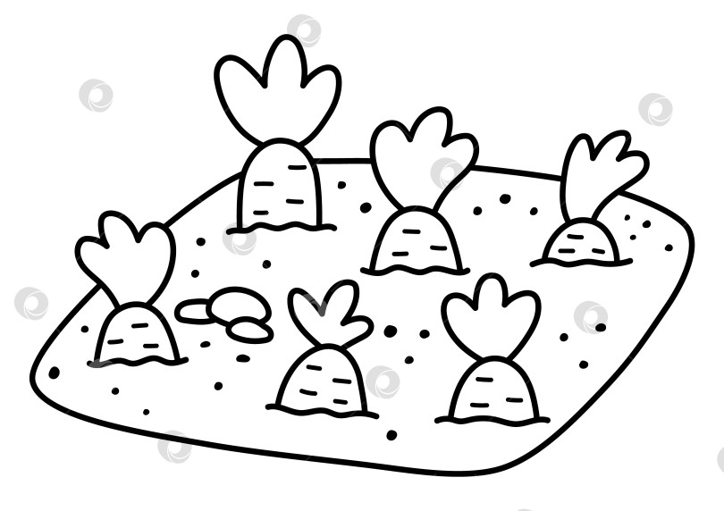 Скачать Значок линии питомника или грядки с морковью. Векторные растения в саду, на ферме или в пасхальной деревне, проросшие на белом фоне. Черно-белая иллюстрация весенних овощей, раскраска фотосток Ozero