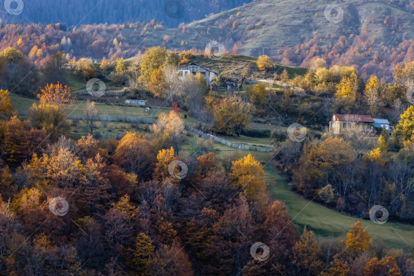 Скачать прекрасный осенний день с видом на маленький городок с домами и деревьями фотосток Ozero