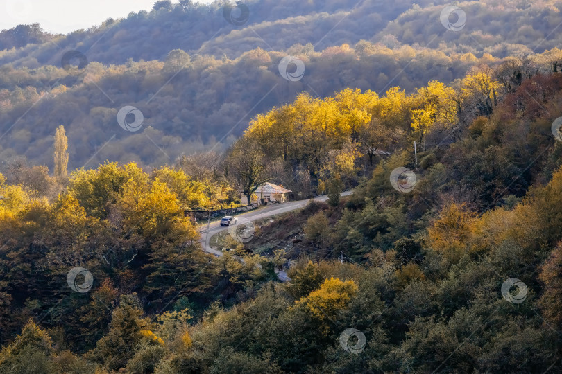 Скачать Извилистая дорога с домом посреди леса. фотосток Ozero