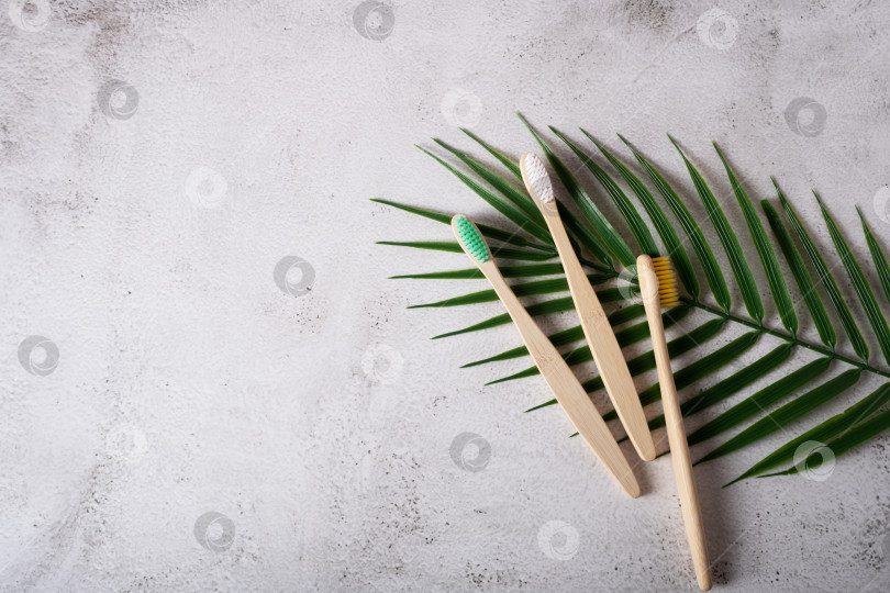 Скачать Бамбуковые зубные щетки с разноцветной щетиной на пальмовом листе фотосток Ozero