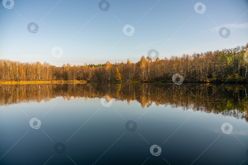 Скачать Осенний лес окружает красивое лесное озеро, на поверхности которого отражается голубое небо фотосток Ozero