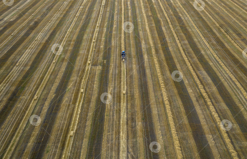 Скачать трактор, сельскохозяйственная техника собирает солому в снопы, вид с квадрокоптера фотосток Ozero