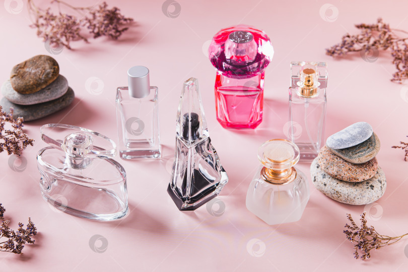 Скачать Флаконы с духами, засушенные цветы и камни на розовом фоне фотосток Ozero