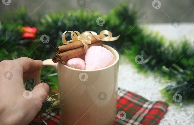 Скачать Чашка какао с корицей и маршмеллоу фотосток Ozero
