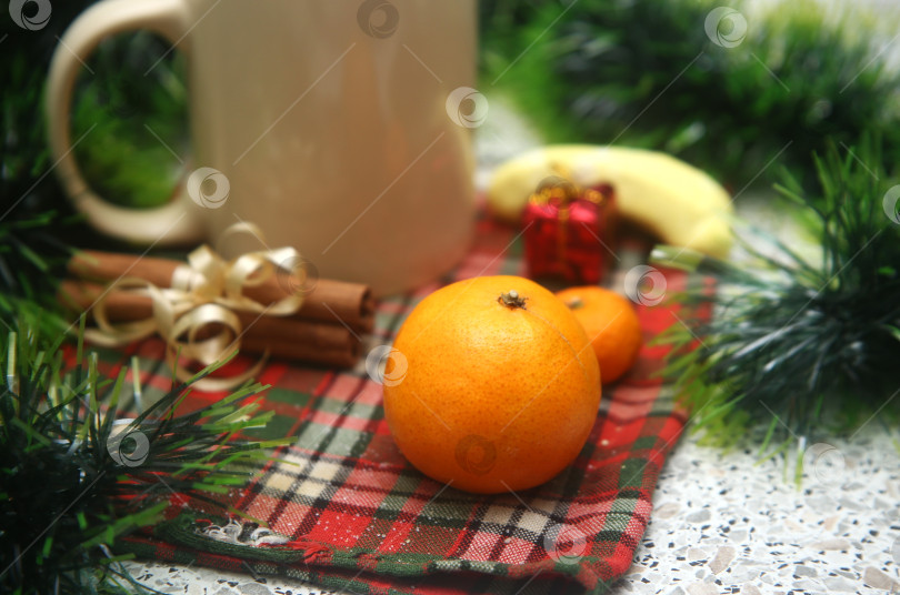 Скачать Напиток какао с мандарином и корицей фотосток Ozero