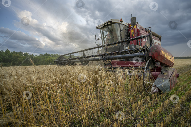 Скачать комбайн убирает пшеничное поле на фоне закатного облачного неба фотосток Ozero