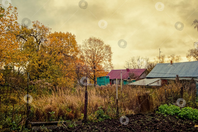 Скачать Старый сад в деревне поздней осенью фотосток Ozero