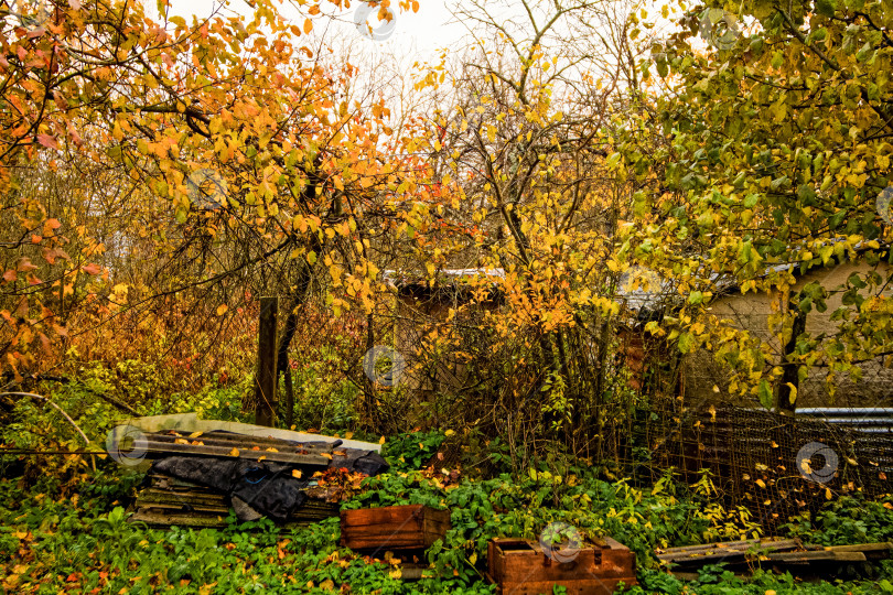 Скачать Старый сад в деревне поздней осенью фотосток Ozero