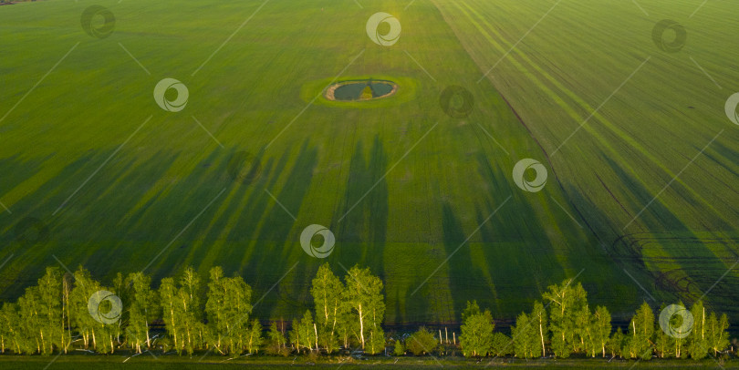 Скачать Весенние поля, длинные тени от посадок на закате с квадрокоптера фотосток Ozero