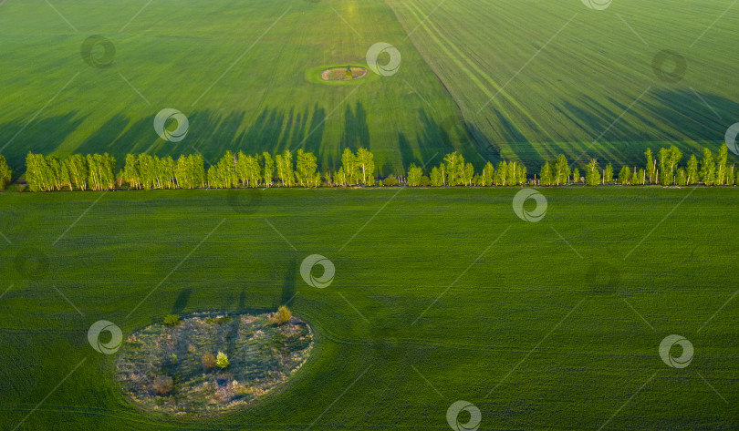 Скачать Весенние поля, длинные тени от посадок на закате с квадрокоптера фотосток Ozero