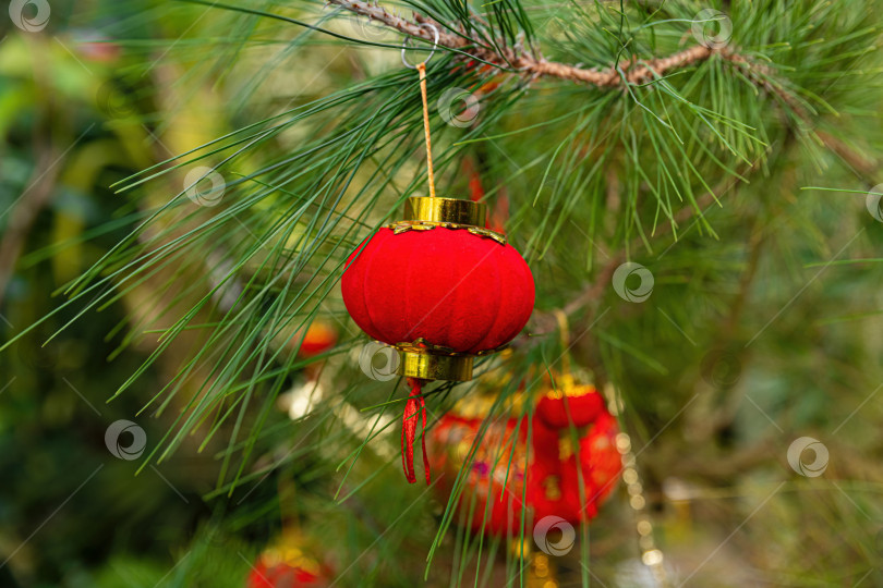Скачать Одинокий красный фонарь в центре сосновой ветки крупным планом. Праздничный китайский новогодний фон по лунному календарю с местом для копирования текста поздравительной открытки. фотосток Ozero