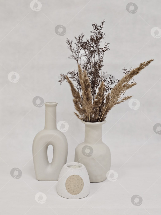 Скачать Минималистичная композиция из сухих цветов в керамических вазах – Нейтральный эстетичный декор фотосток Ozero
