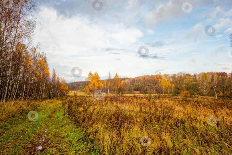 Скачать грунтовая дорога через лес после сильного дождя фотосток Ozero