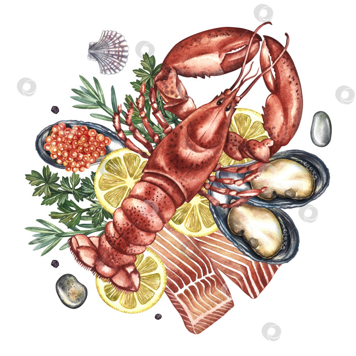Скачать Морепродукты. Лобстер и красная рыба с лимоном, мидиями и зеленью. Рисованная акварельная иллюстрация. Красочное изображение блюда из морепродуктов. Идеально подходит для оформления меню, книг рецептов, упаковки, этикеток и многого другого. фотосток Ozero
