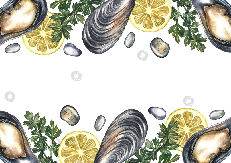 Скачать Рамка с мидиями с лимоном и зеленью. Акварельная иллюстрация ручной работы. Красочное изображение изысканного блюда из морепродуктов. Подходит для меню, книг рецептов, упаковки, этикеток и многого другого. фотосток Ozero