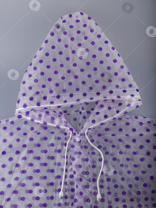 Скачать Прозрачный непромокаемый плащ с капюшоном в фиолетовый горошек фотосток Ozero