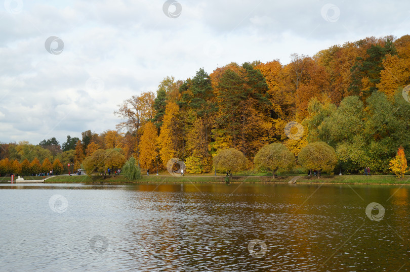 Скачать Парк Царицыно фотосток Ozero