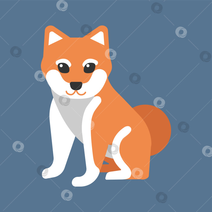 Скачать Векторная иллюстрация, выделенная на синем фоне. Японская собака Шиба-ину сидит и смотрит вперед. Оранжевый мех с белыми элементами. Характер домашнего животного выглядит дружелюбным, символизирует ответственность и заботу фотосток Ozero