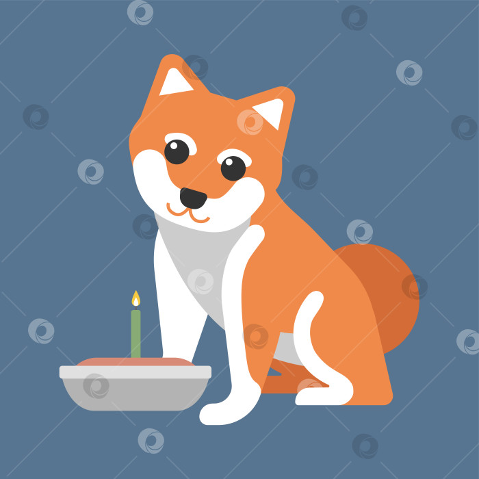 Скачать Векторная иллюстрация, выделенная на синем фоне. Японская собака породы Шиба-ину сидит возле праздничного торта и свечи. Животное смотрит вперед. фотосток Ozero