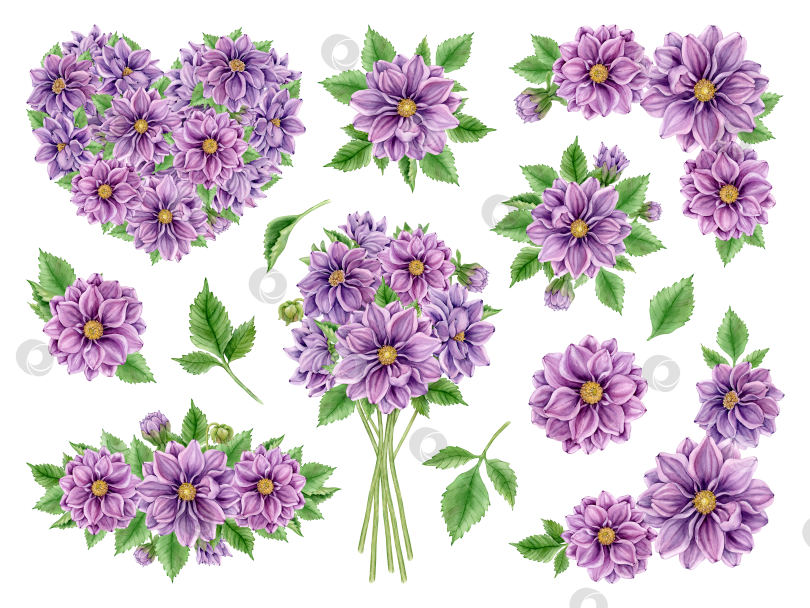 Скачать коллекция цветов фотосток Ozero