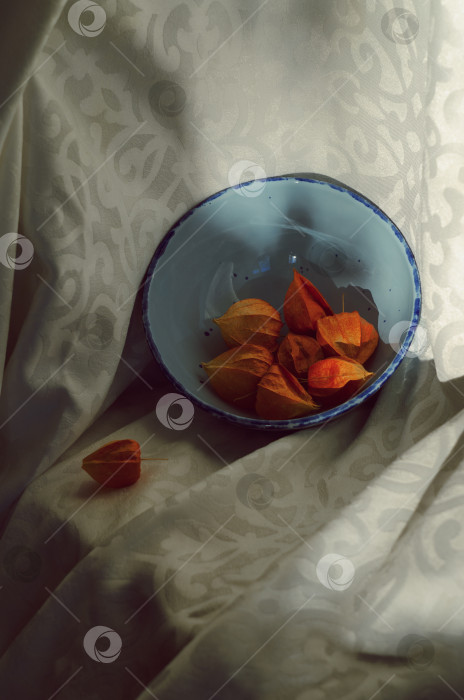 Скачать Натюрморт голубая чашка и яркий физалис фотосток Ozero