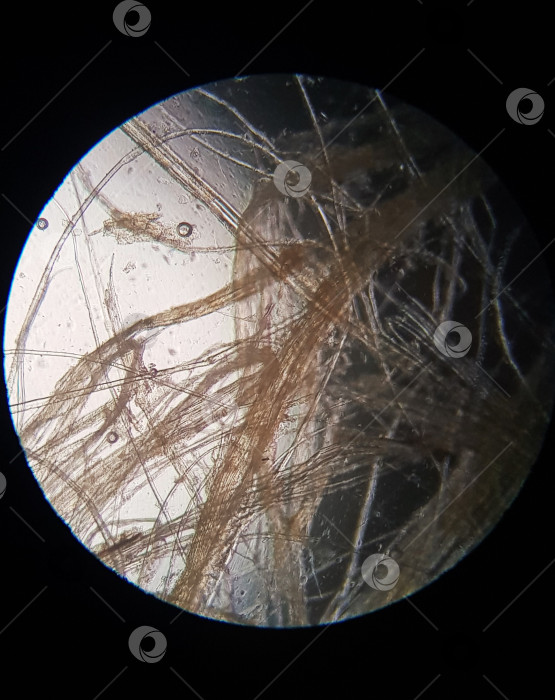 Скачать Микромир волокон: переплетение под увеличением фотосток Ozero