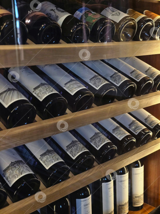 Скачать Отпуск фотосток Ozero