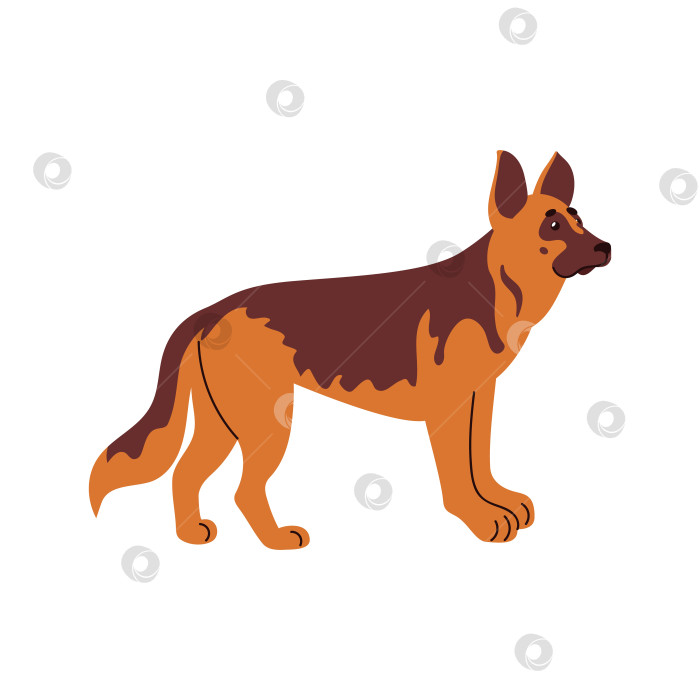 Скачать Вектор пастушьей собаки в плоском стиле, упрощенные формы, теплая коричневая шерсть, настороженная поза, минимальное затенение, четкие контуры фотосток Ozero