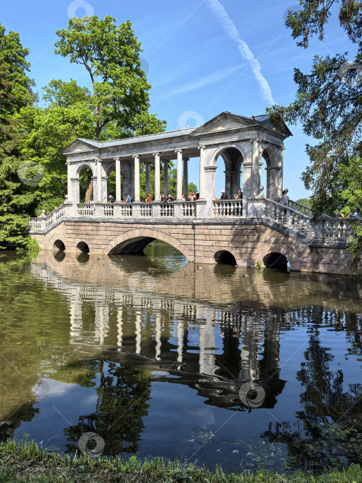Скачать Пушкин, Санкт-Петербург, Россия - 14 июня 2025 года. Мраморный мост в Екатерининском парке с отражением в воде фотосток Ozero