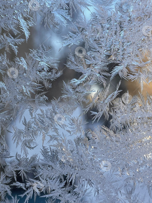 Скачать Иней на стекле фотосток Ozero