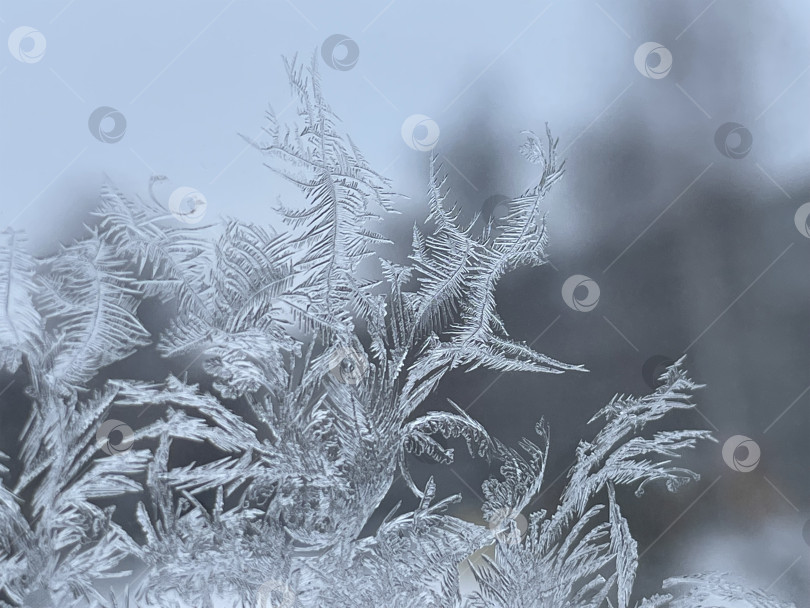 Скачать Иней на окне фотосток Ozero