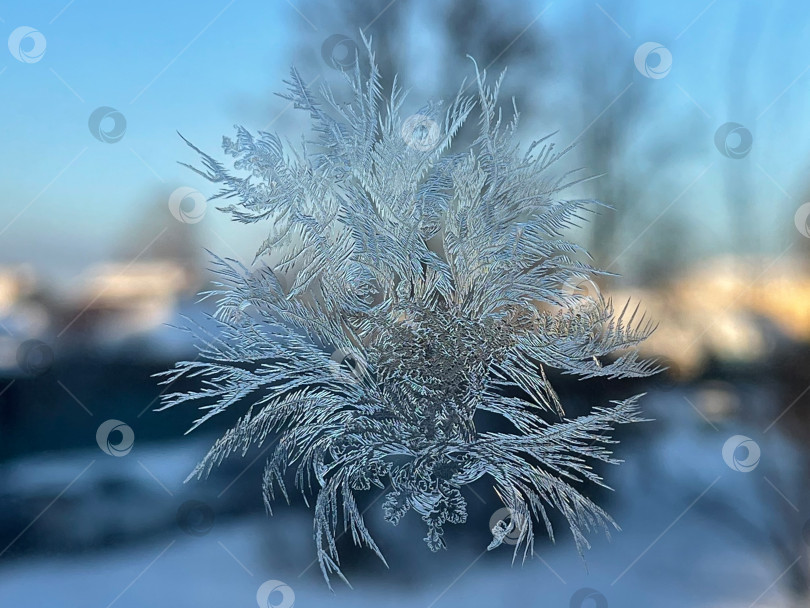 Скачать Зимний узор фотосток Ozero