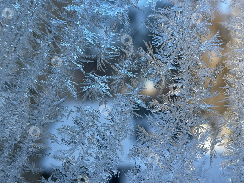 Скачать Удивительное рядом фотосток Ozero