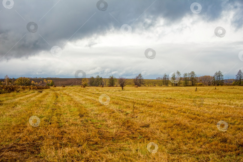 Скачать Скошенное поле поздней осенью в пасмурный день фотосток Ozero