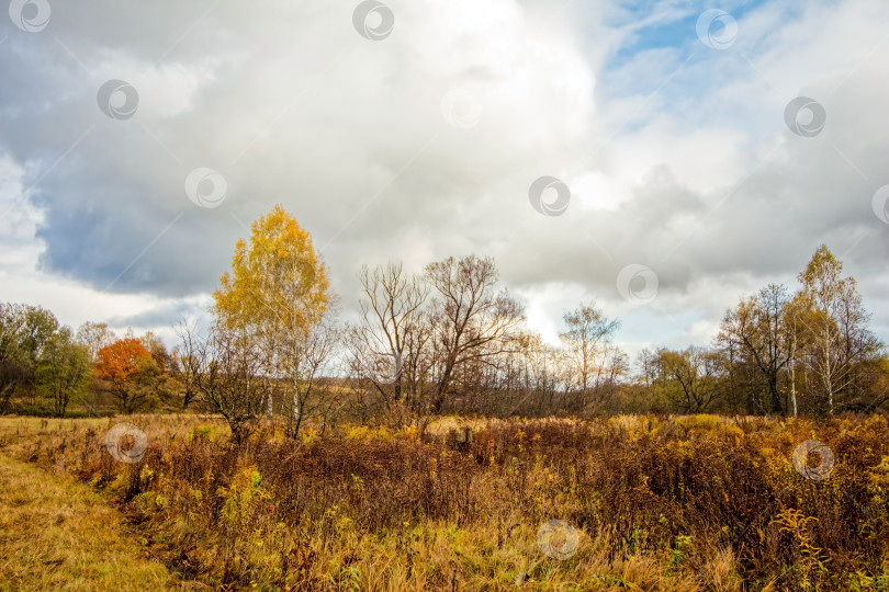 Скачать Скошенное поле поздней осенью в пасмурный день фотосток Ozero
