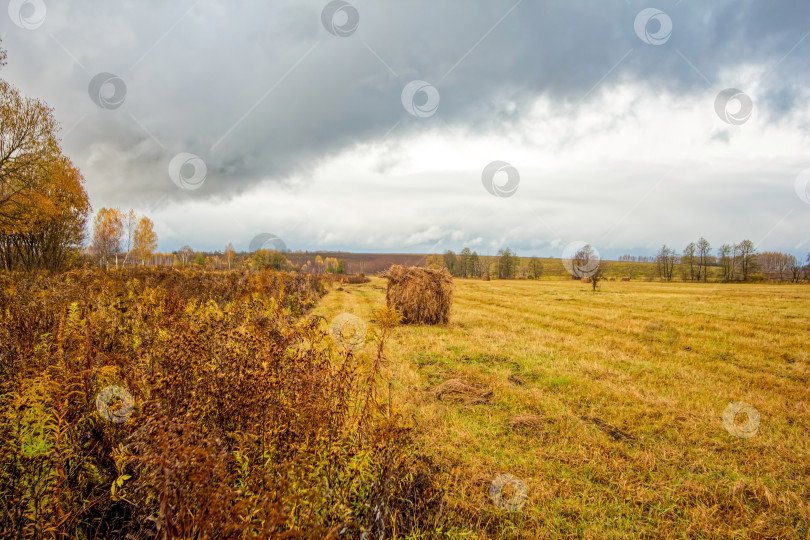 Скачать Скошенное поле поздней осенью в пасмурный день фотосток Ozero