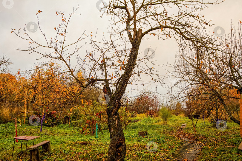 Скачать Старый сад в деревне поздней осенью фотосток Ozero