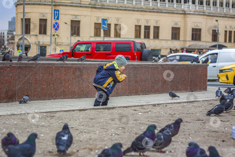 Скачать 2023-04-09. Москва, Россия. Мальчик охотится и пытается поймать уличных голубей в Москве. фотосток Ozero