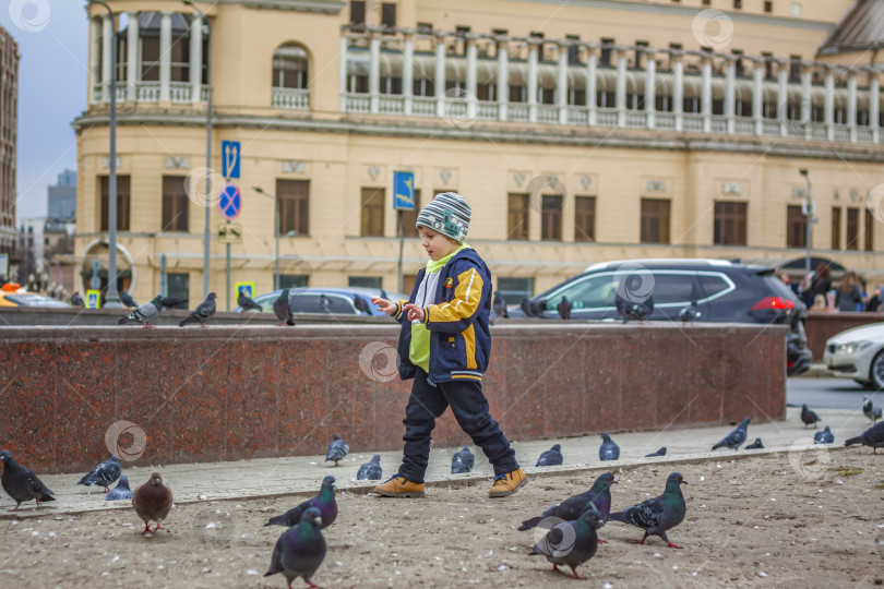 Скачать 2023-04-09. Москва, Россия. Мальчик охотится и пытается поймать уличных голубей в Москве. фотосток Ozero