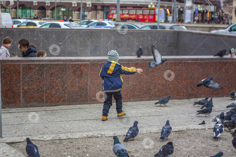 Скачать 2023-04-09. Москва, Россия. Мальчик охотится и пытается поймать уличных голубей в Москве. фотосток Ozero