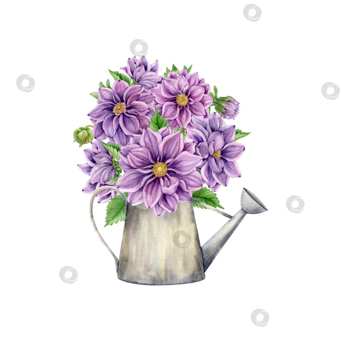 Скачать Букет цветов в лейке. фотосток Ozero