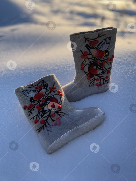 Скачать Валенки в резиновых галошах фотосток Ozero
