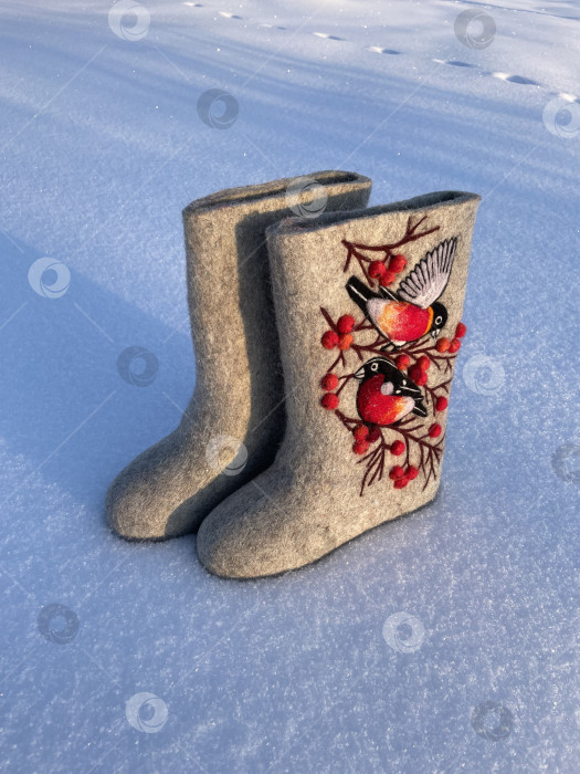 Скачать Два сапога пара фотосток Ozero