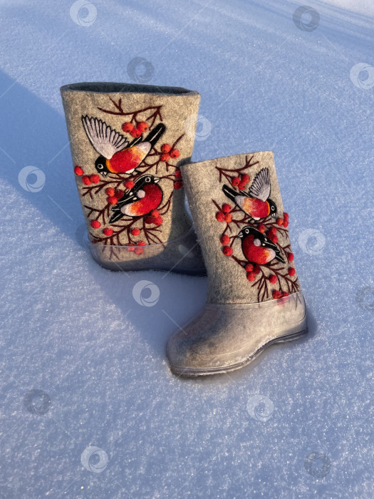 Скачать Валенки в галошах фотосток Ozero