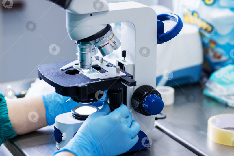 Скачать Квалифицированный специалист тщательно анализирует предметное стекло при ярком освещении лабораторного микроскопа фотосток Ozero