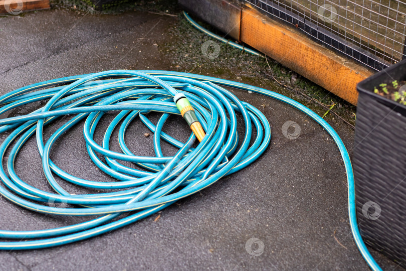 Скачать Садовник готовится поливать растения в горшках рядом с патио, застекленным от дождя, с помощью шланга намотанного на спираль фотосток Ozero