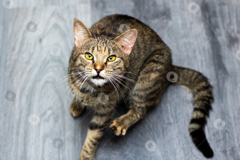 Скачать Предвкушая вкусные маленькие кусочки, вы с нетерпением готовитесь насладиться ароматными маленькими порциями еды фотосток Ozero