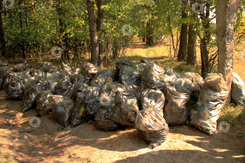 Скачать Мешки для мусора на природе фотосток Ozero
