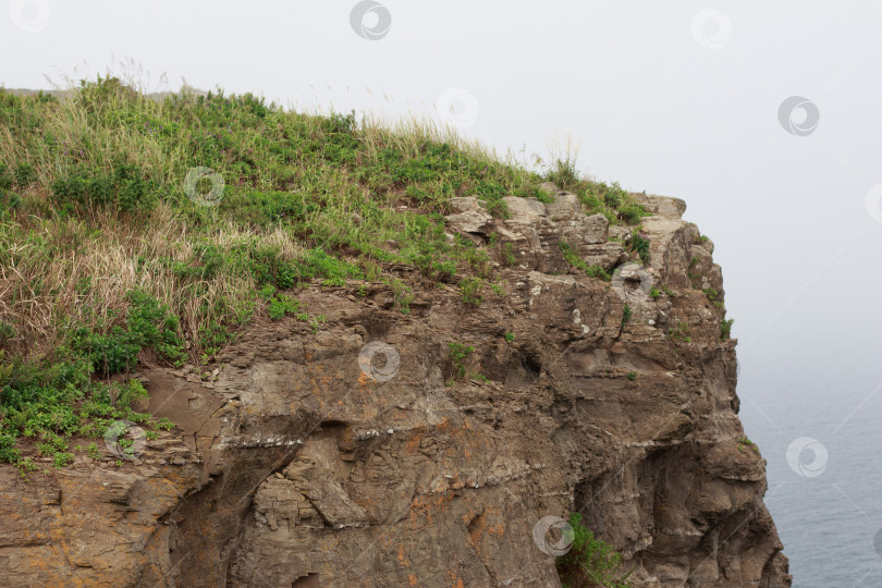 Скачать Мыс Тобизина фотосток Ozero