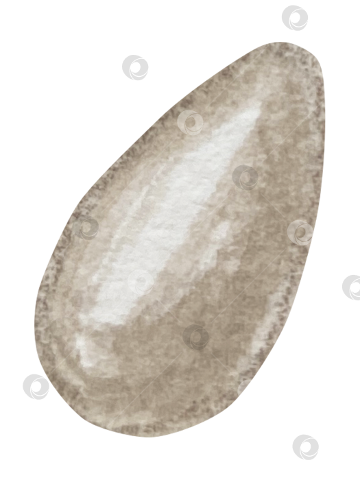 Скачать Набор женских аксессуаров, выполненных акварелью. Косметика, обувь, духи, платье, сумка, солнцезащитные очки, польский клипарт. Для наклеек для ежедневника, текстильных принтов, поделок. фотосток Ozero